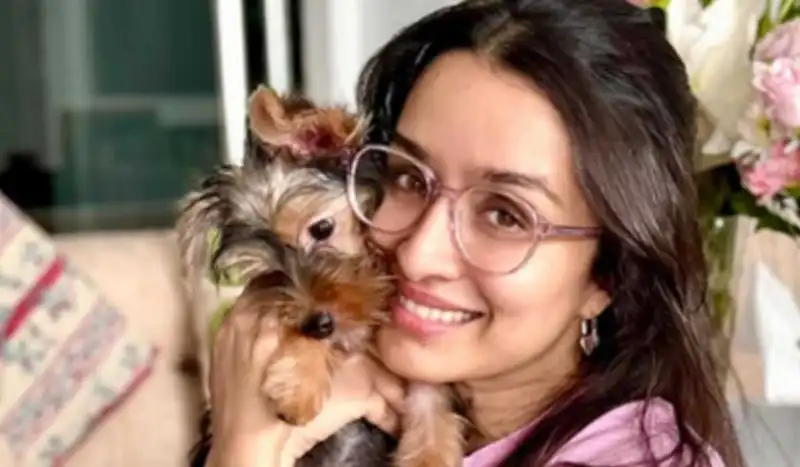 Shraddha Kapoor welcomes a ‘Nanhi Stree’, introduces adorable new family member!