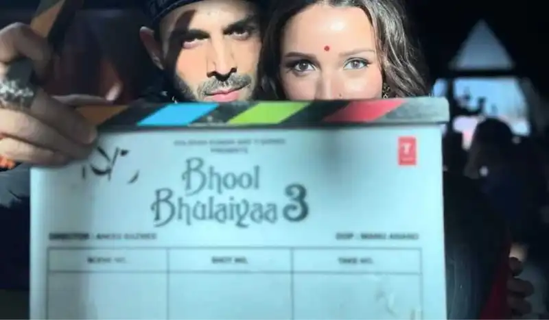 <p>Bhool Bhulaiyaa 3</p>