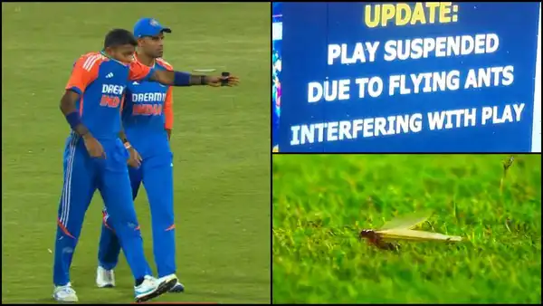 IND vs SA: Flying insects stop play, players struggle to see amid swarm; netizens react