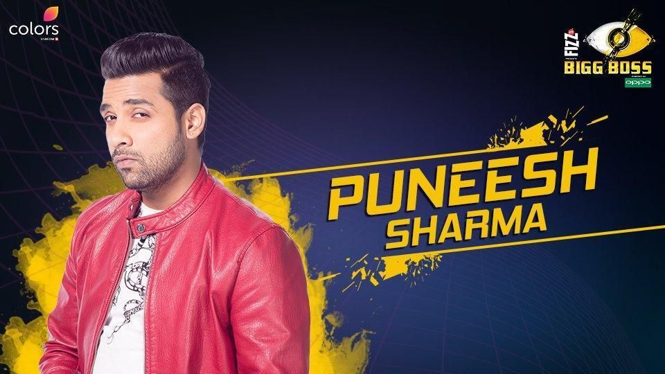 Bigg Boss 11: Will Puneesh Sharma Win The Show? Here's Why He Can And Cannot!