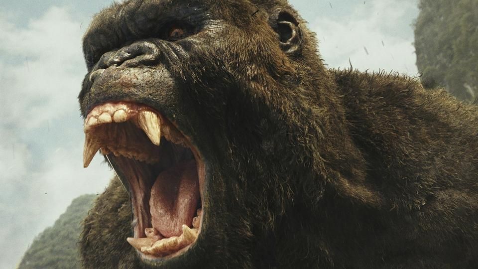 Bugs made Samuel L Jackson 'uncomfortable' while shooting for Kong: Skull Island