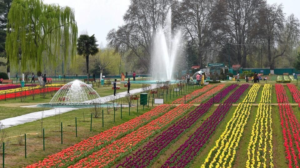 Bollywood film shooting on full swing in Kashmir's Tulip garden