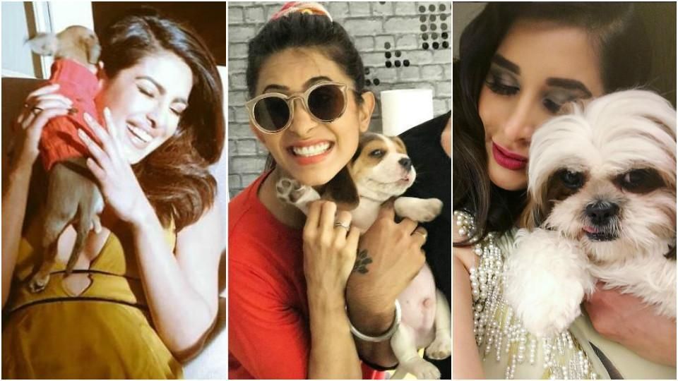 Priyanka Chopra, Kylie Jenner: 9 Bollywood And Hollywood Celebs Whose Pet's Instagram Accounts Will Give You Life Goals!