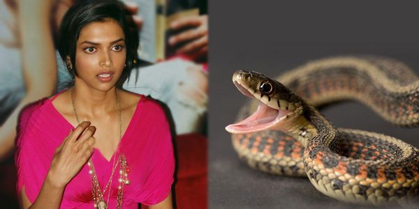 13 Bollywood Celebrities And Their Weird Phobias!