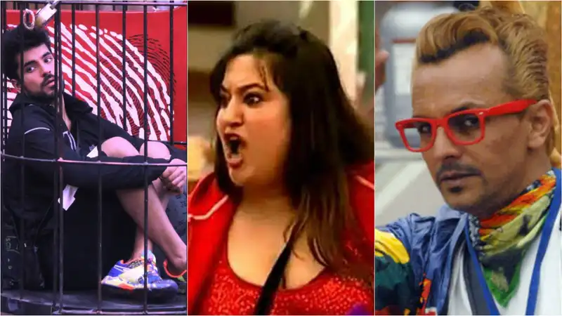 14 Most Controversial Contestants Bigg Boss Has Ever Seen! 