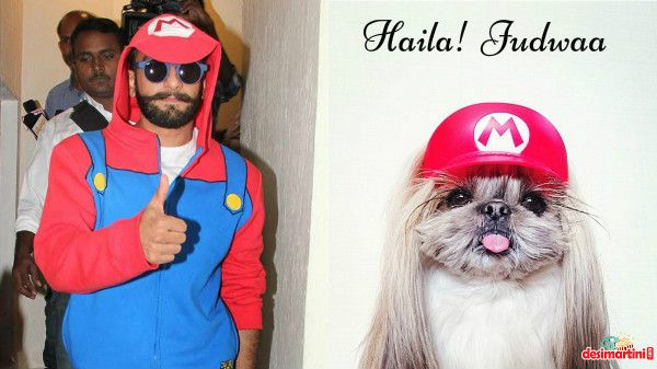 This Dog Is Giving Some Serious Competition To Bollywood Stars!