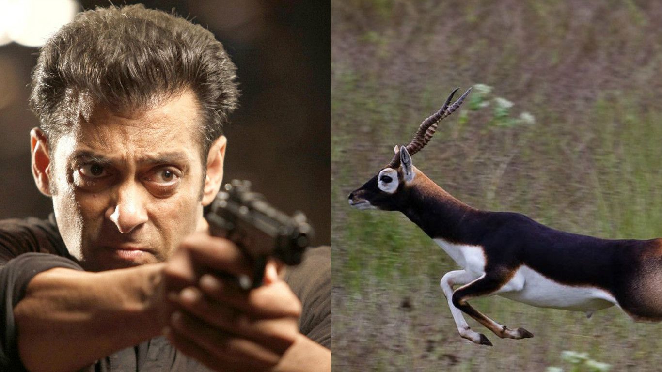 Salman Khan Never Killed The Black Buck, Here's How It Actually Died!