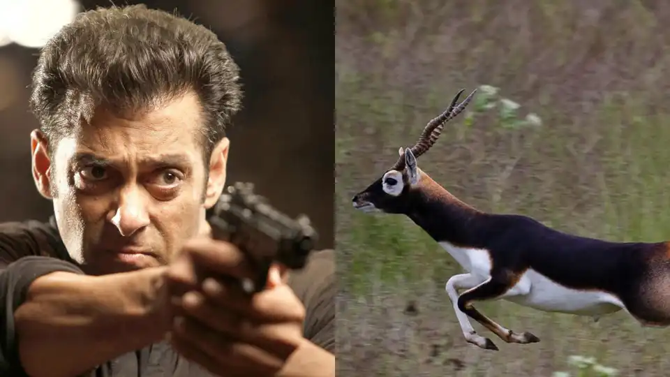 Salman Khan Never Killed The Black Buck, Here's How It Actually Died!