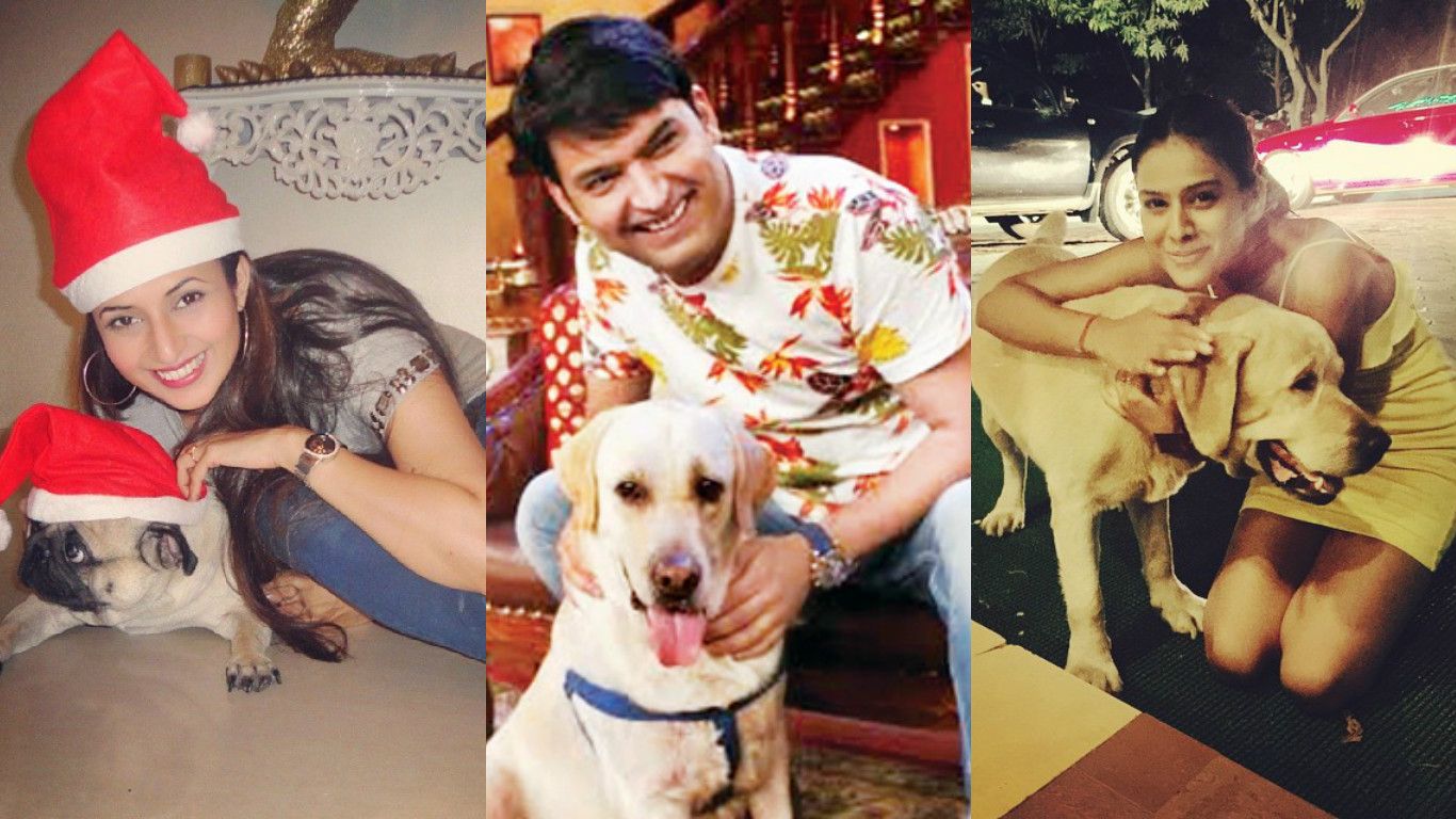20 TV Celebrities And Their Adorable Furry Friends!