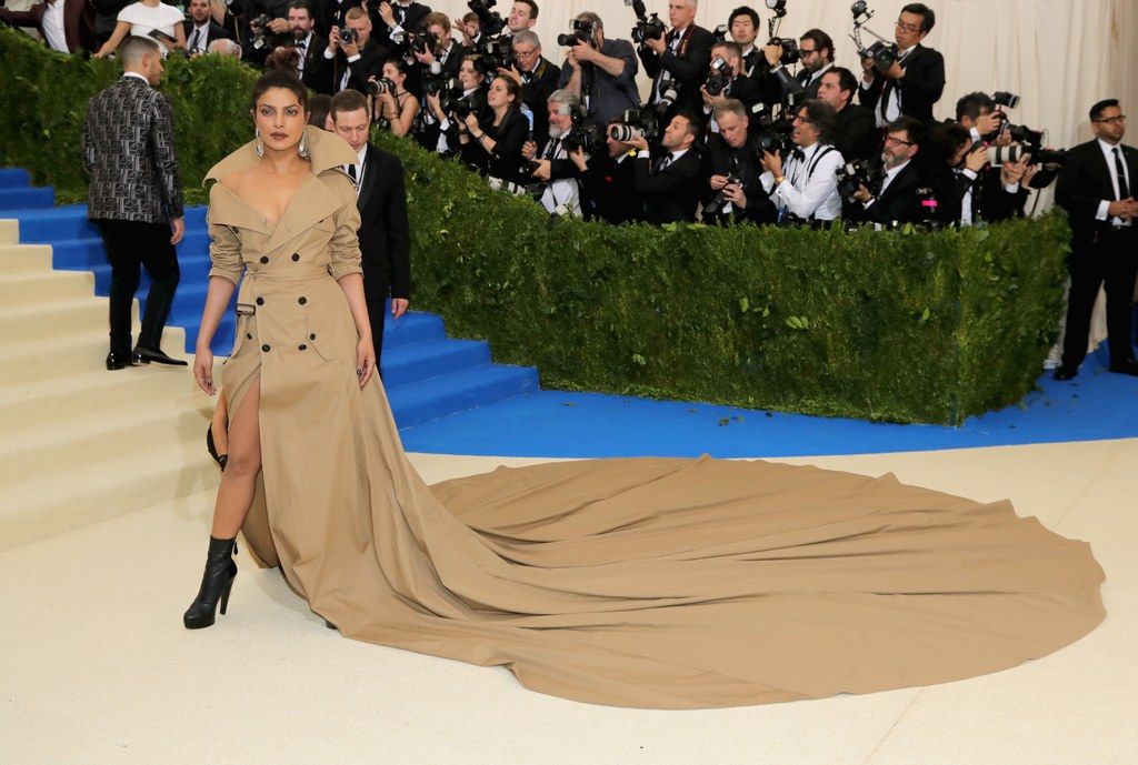 Priyanka Chopra Has Finally Picked Out Her Favorite Meme For Her Met Gala Dress And Here's Who Won!