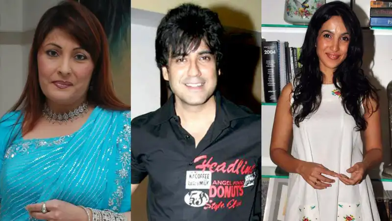 Do You Remember These 20 TV Celebs Who Were Popular Once Upon A Time?