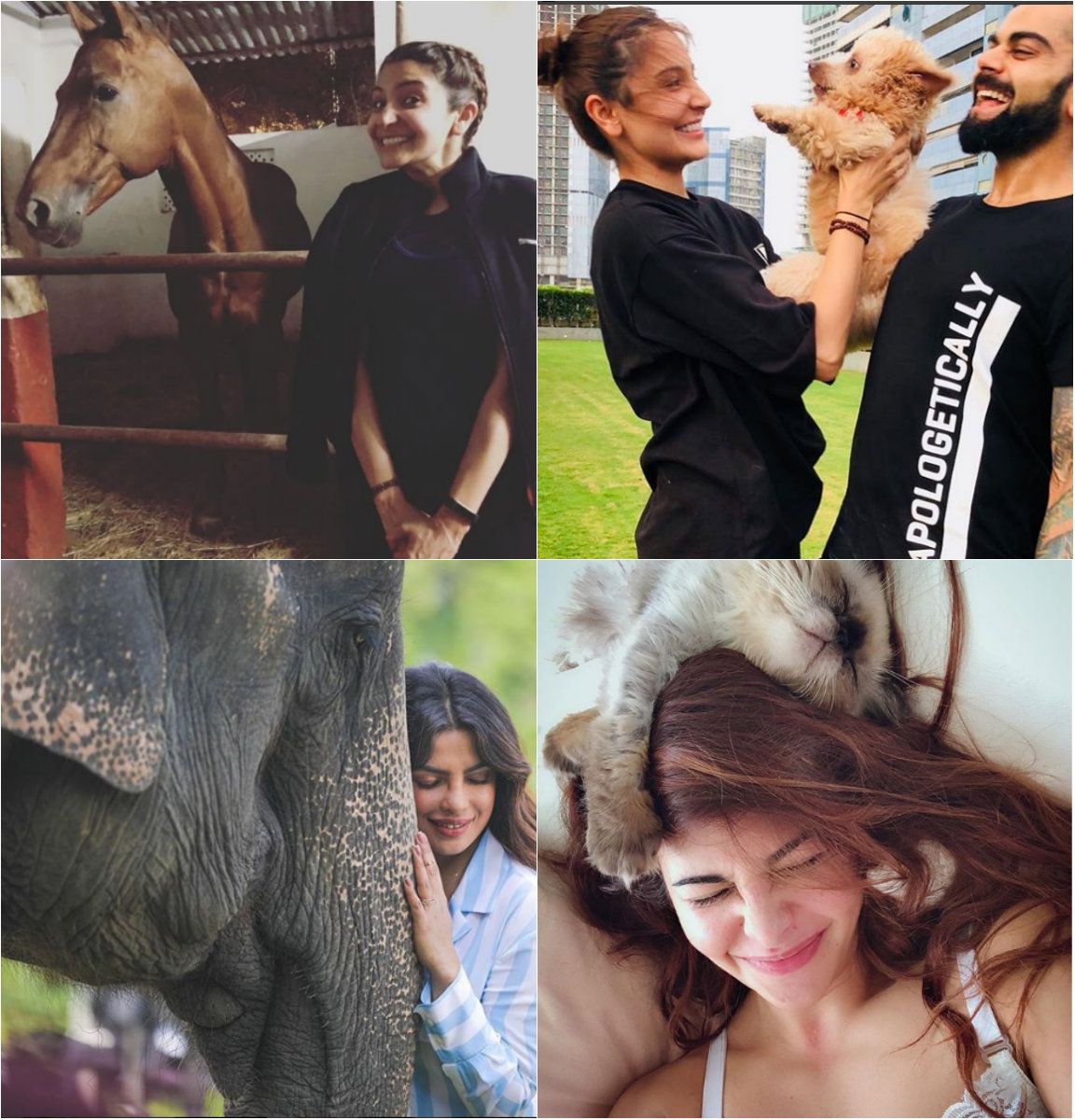 11 Bollywood Actors Who Expressed Their Love For Animals By Sharing Lovely Photos On Instagram!