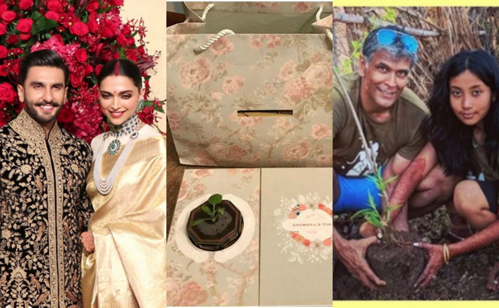 रणवीर-दीपिका समेत बॉलीवुड के इन सेलेब्स ने अपनी शादी में दिया पर्यावरण बचाने का सन्देश !