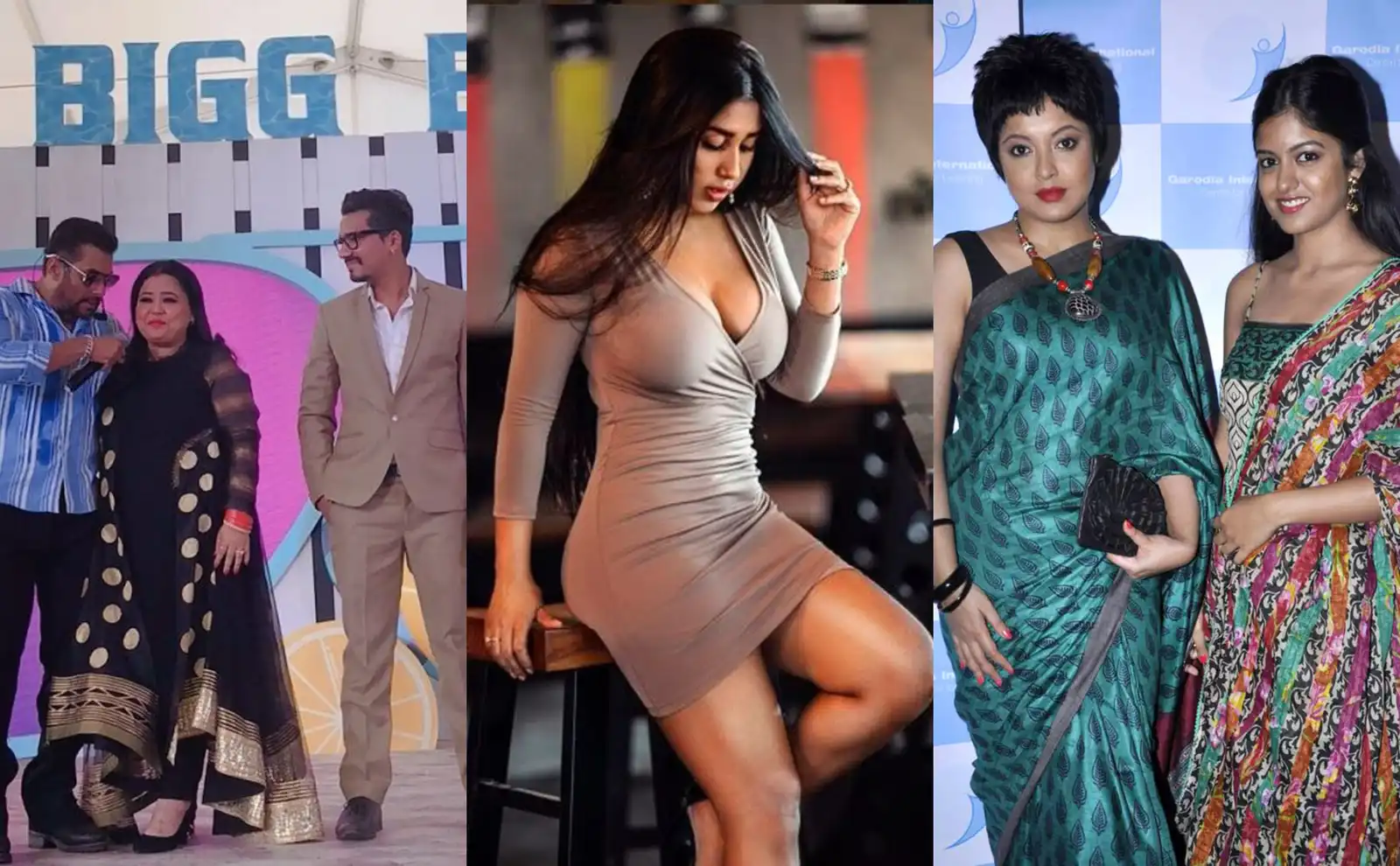 People Who We Thought Would Be A Part Of Bigg Boss 12 But Weren't!