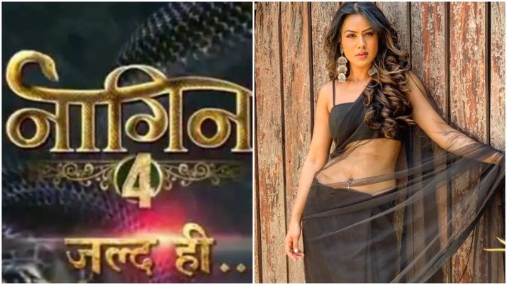 Naagin 4: Nia Sharma To NOT Play The Naagin In The Show! Read Details...