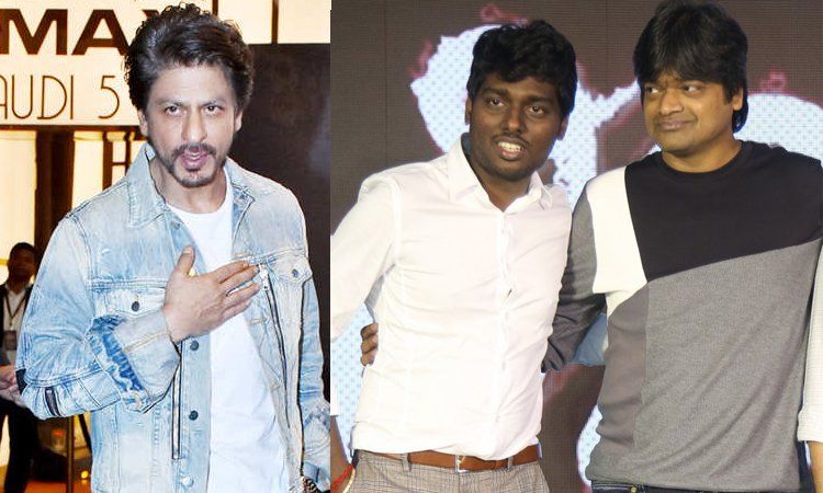 Is Shah Rukh Khan Really Collaborating With Atlee? Director Harish Shankar Makes Some Revelation!