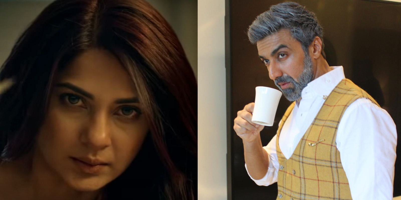 Beyhadh 2: Ashish Chowdhry’s Look From The Show Is Out! See Pictures...