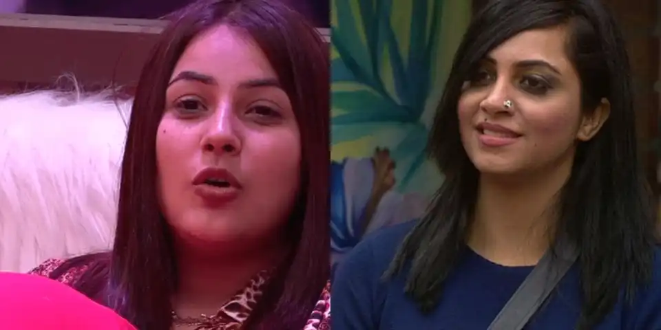 Bigg Boss 13: Former Contestant Arshi Khan Thinks Shehnaaz Gill Is Copying Her, Thinks Paras Chhabra Playing Behind Every Girl's Back