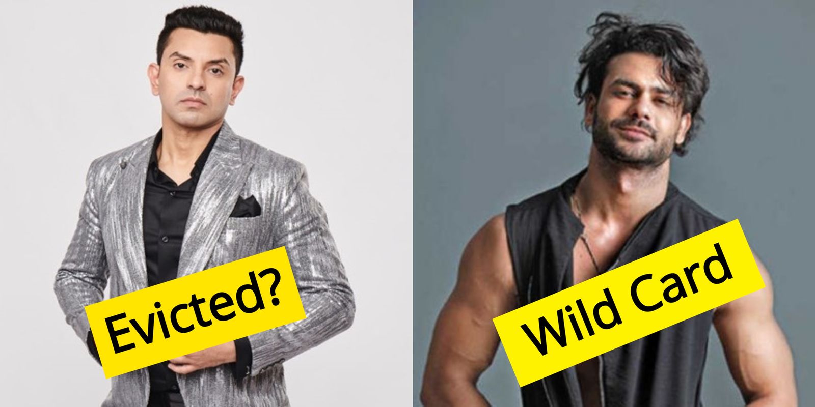 Bigg Boss 13: Tehseen Poonawalla Might Be Evicted This Weekend Amidst Rumours Of Double Eviction, Vishal Aditya Singh To Enter!