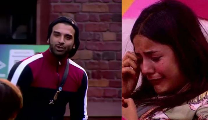 Bigg Boss 13 Preview: Will Paras And Sidharth Bid Goodbye To The Show And Is Shehnaaz In Love With The Former?