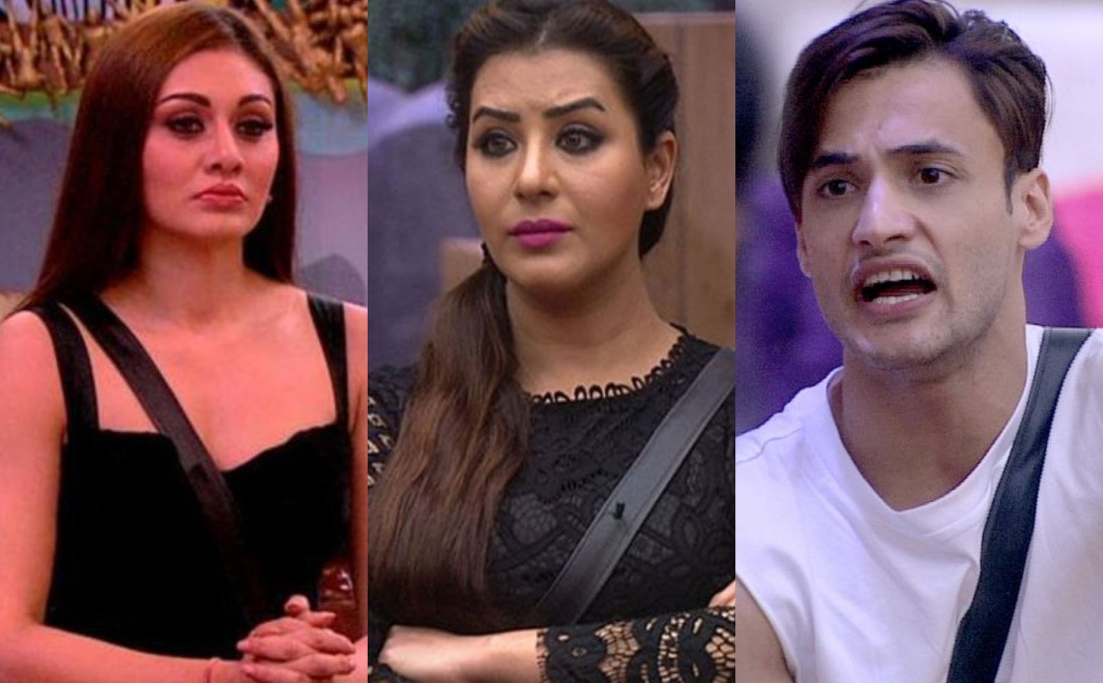 Bigg Boss 13: Season 11 Winner Shilpa Shinde Lashes Out At Shefali Jariwala For Her Negative Comments On Asim Riaz