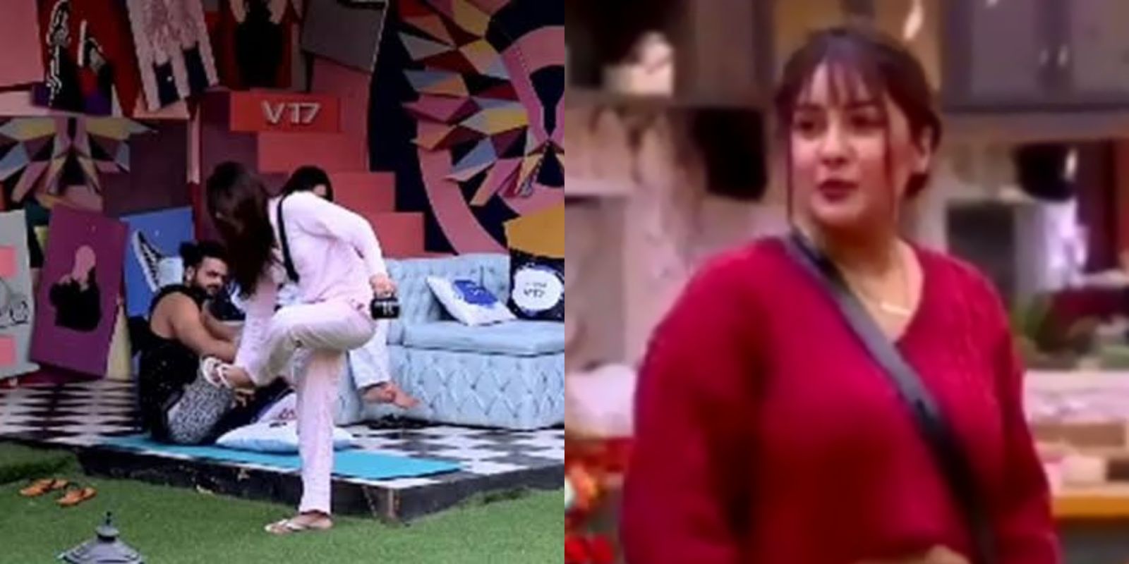Bigg Boss 13 Preview: Vishal, Madhurima Decide Who Will Walk Out; Shehnaaz Gill Adds A Twist To Nominations