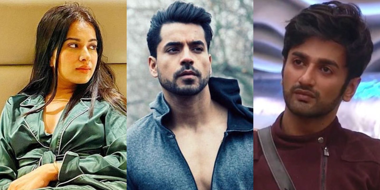 Bigg Boss 14: Gautam Gulati Feels Sara Should Have Stayed In The Show; Would Have Chosen Nishant For Eviction