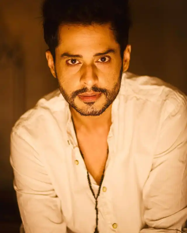 BB 14: Evicted Contestant Shardul Pandit Reveals That He Still Needs Work; Says 'I Have To Probably Start From Scratch Again'