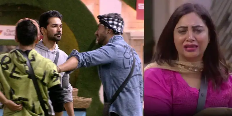 Bigg Boss 14 Highlights: Aly Fights With Abhinav-Rubina For Rahul Vaidya, Arshi Khan Breaks Down