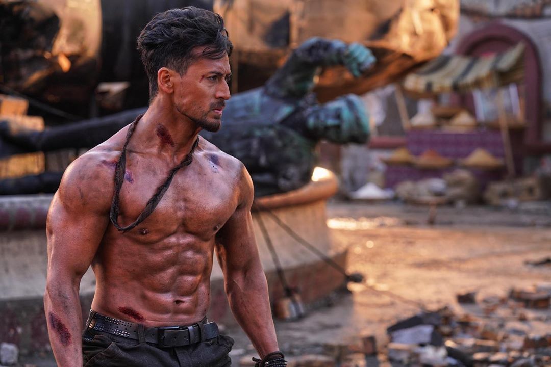 Vijay Varma Says Tiger Shroff Didn't Seek Heaters Or Blankets Even After Shooting Shirtless In Icy Serbia Like A 'Shaolin Master' 
