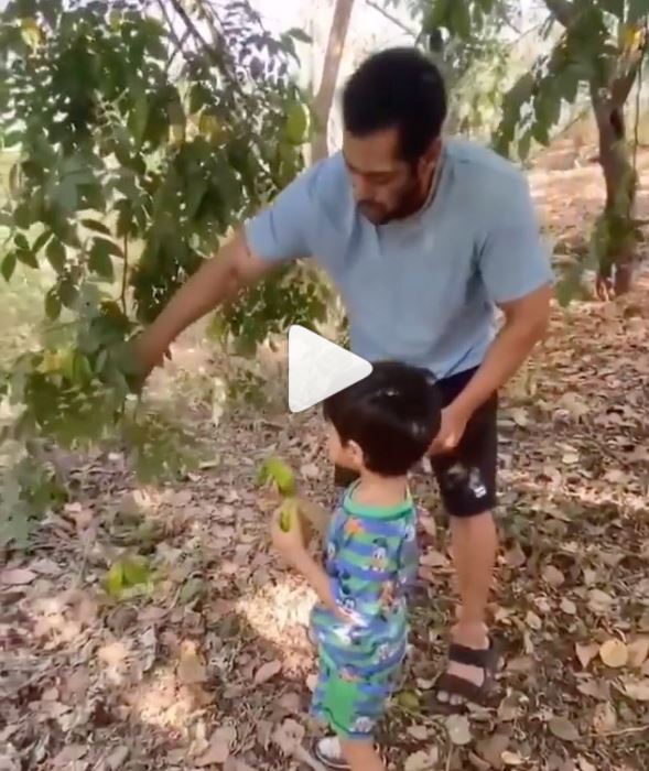 Salman Khan Enjoys Time With Nephew Ahil, Plucks Fresh Fruit From His Farm Together