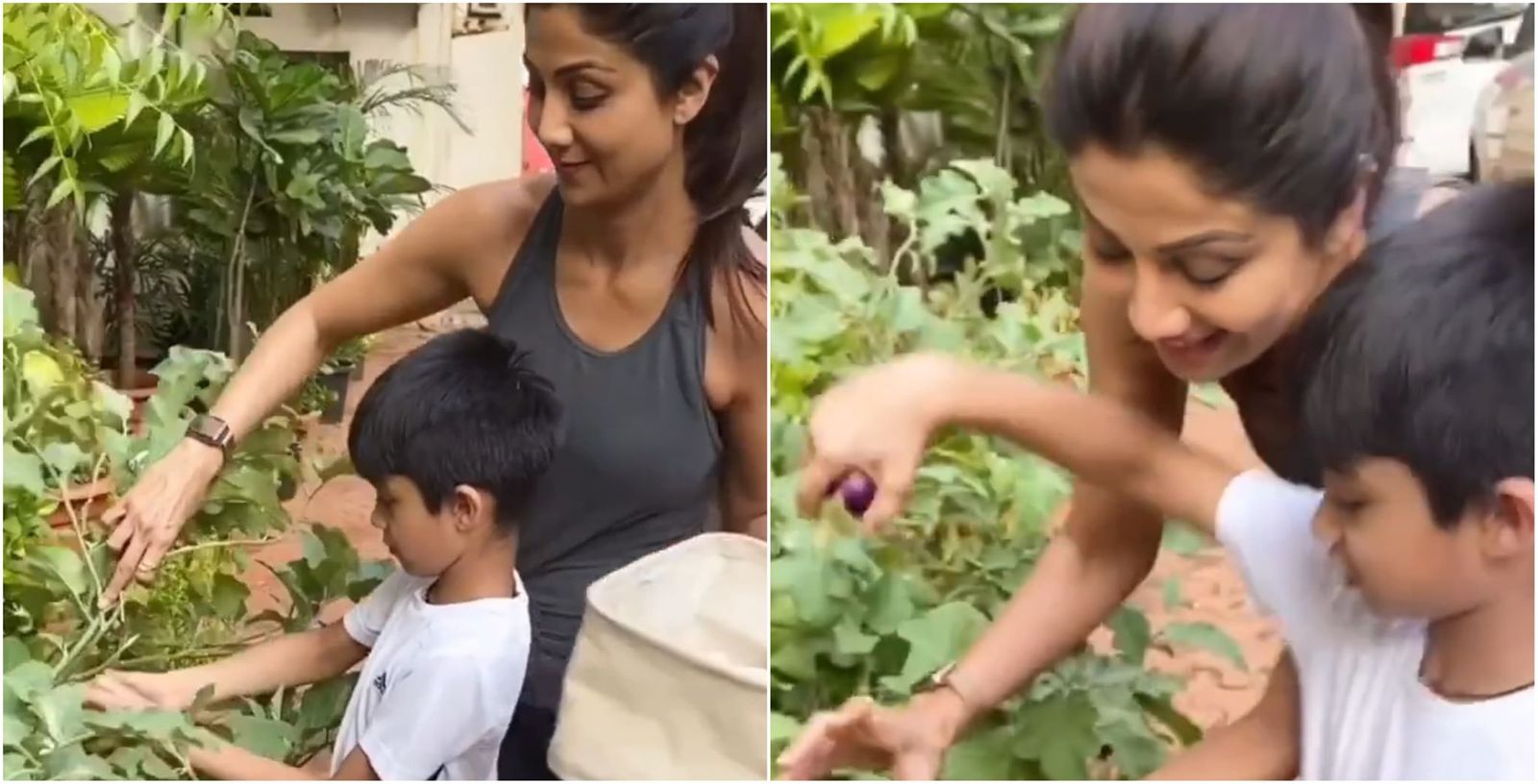 शिल्पा शेट्टी बेटे वियान को घर पर ही सिखा रही हैं सब्जियां उगाना; आज बनाएंगी बैंगन का भर्ता!