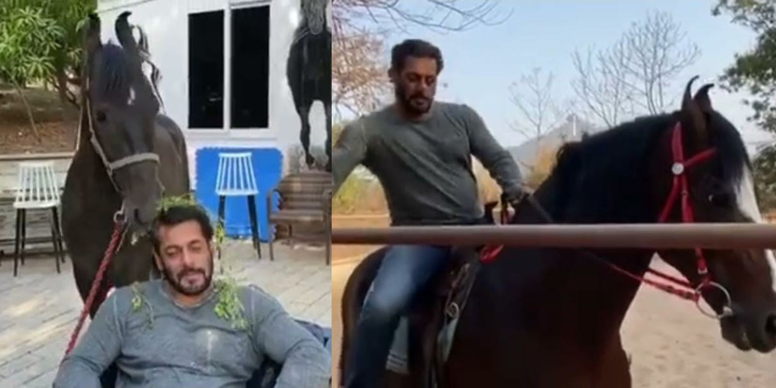 Salman Khan’s Adorable Horse Riding Video Leaves Bigg Boss Contestants In Awe; Watch