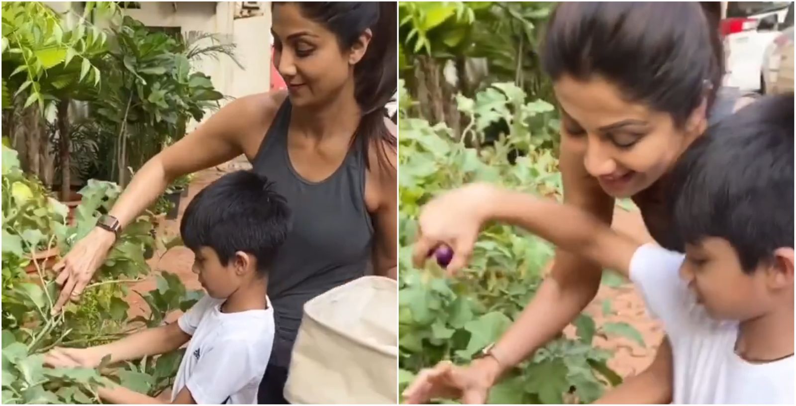 Shilpa Shetty Picks Fresh Vegetables From Her Home Garden With Son Viaan, Says Our Thoughts Should Be Clean Like Our Food
