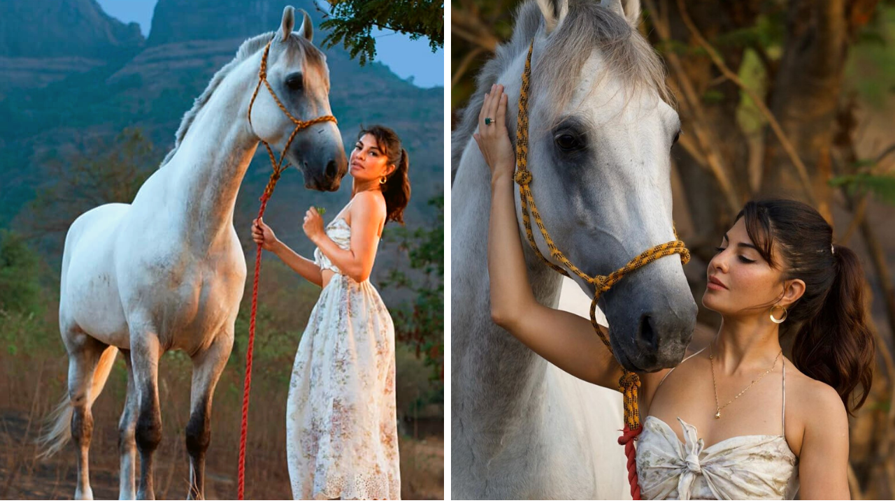 तस्वीरें: जैकलीन फर्नांडिस ने सलमान के घोड़े साथ फार्महाउस में कराया फोटोशूट
