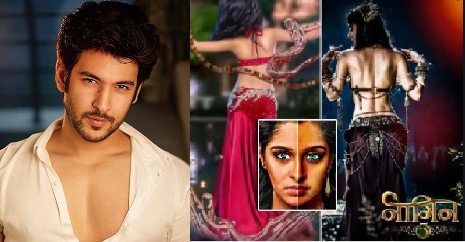 Shivin Narang Drops A Big Hint On Being Asked About Being Cast In Naagin 5: Have Done A Guest Appearance On Naagin Once