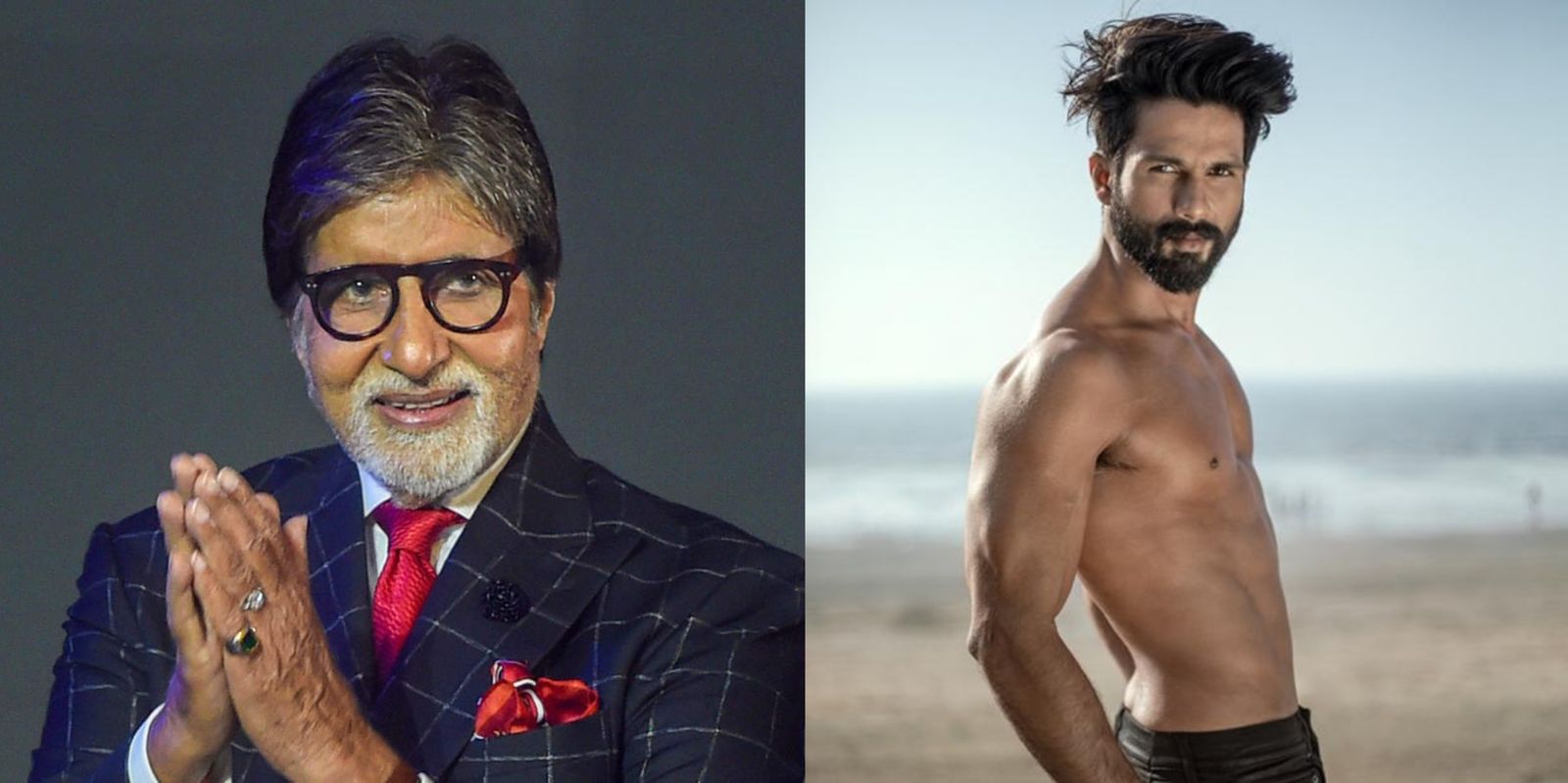 Amitabh Bachchan Books Six Flights To Send Migrants To UP, Shahid Kapoor Supports Background Dancers