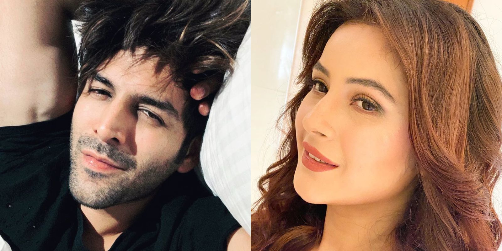Kartik Aaryan Leaves Shehnaaz Gill Confused With His Hilarious Comment On Her Latest Post