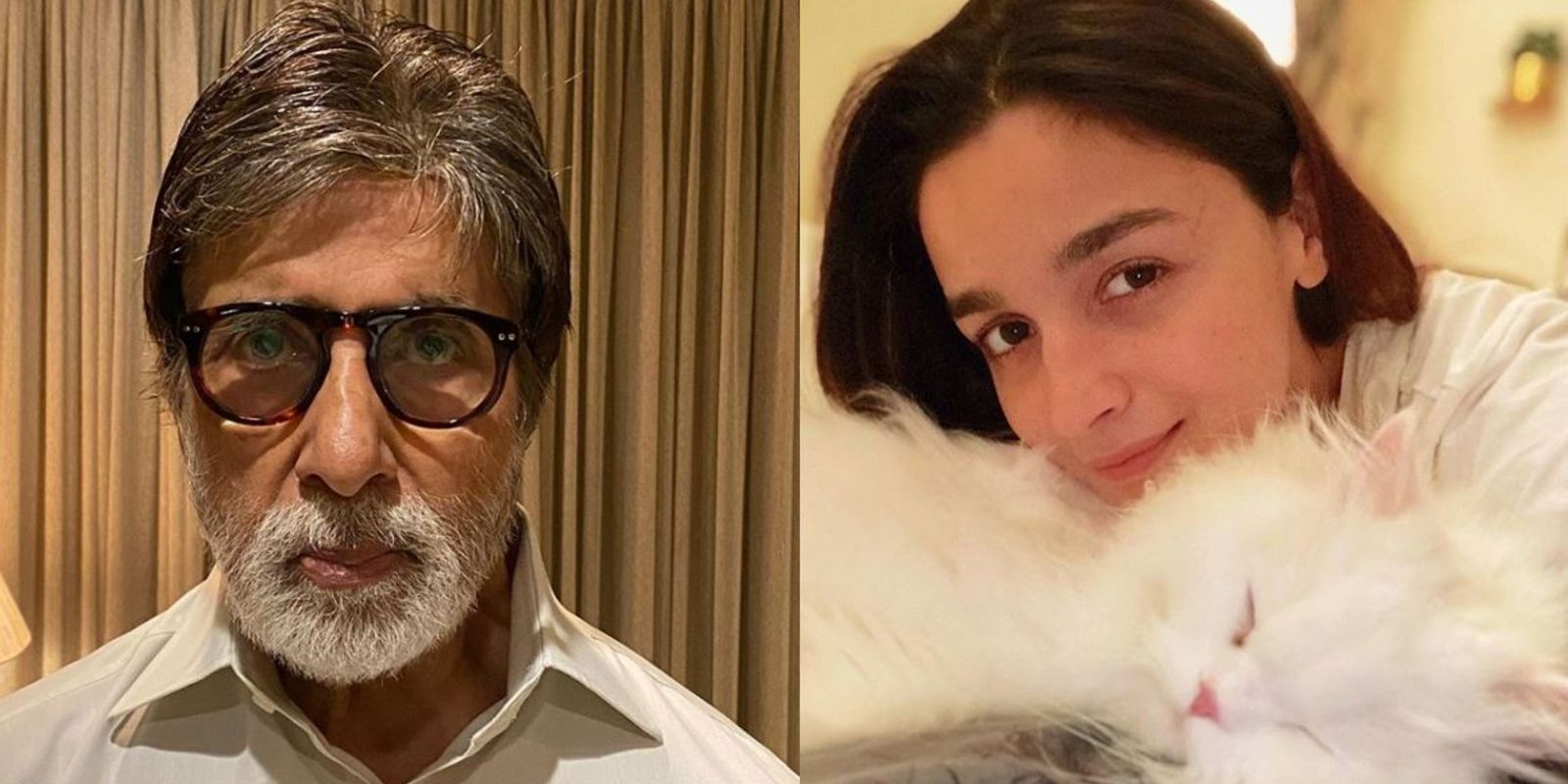 Amitabh Bachchan Dedicates Yet Another Post To Doctors, Alia Bhatt Shares Picture With Her 'Calm After Every Storm'