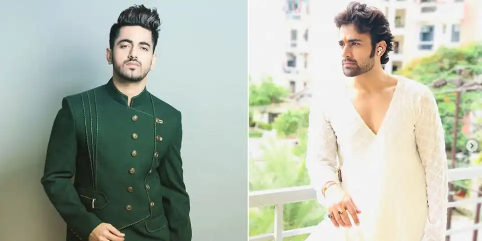 Bigg Boss 14: Pearl V Puri Offered A Whopping Rs. 5 Crores, Zain Imam Refuses To Be A Part Of The Reality Show? Read Details...