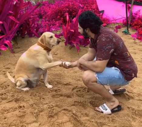 Varun Dhawan's Fans Can't Get Over This Adorable Boomerang With His Furry Friend