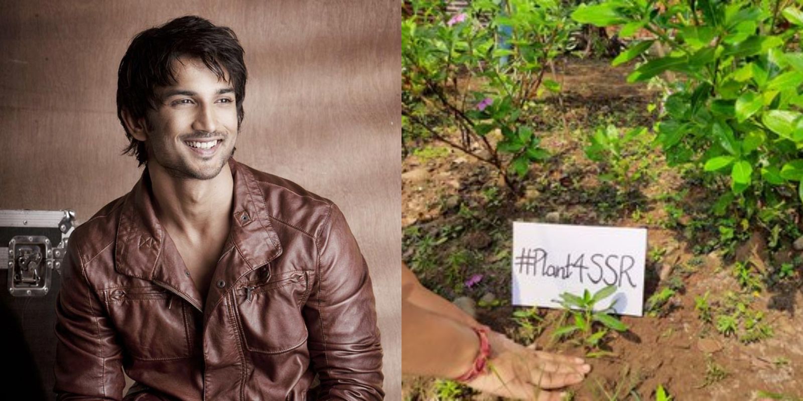 #Plants4SSR: Sushant’s Sister Shweta Reveals Over 1 Lakh Trees Were Planted In The Late Actor’s Memory