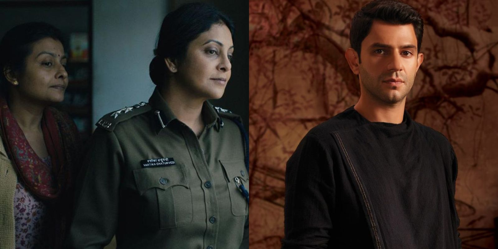 International Emmys 2020: Arjun Mathur Nominated As Best Actor For Made In Heaven; Four More Shots Please, Delhi Crime Also Nominated