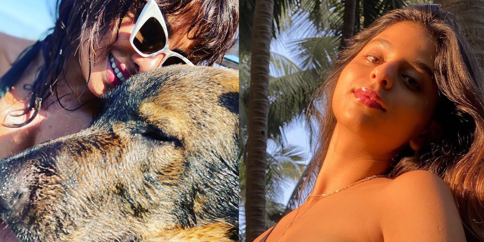 Priyanka Chopra Clicks A Selfie With Her Furry Friend; Suhana Khan Channelizes Her Inner ‘Island Girl’
