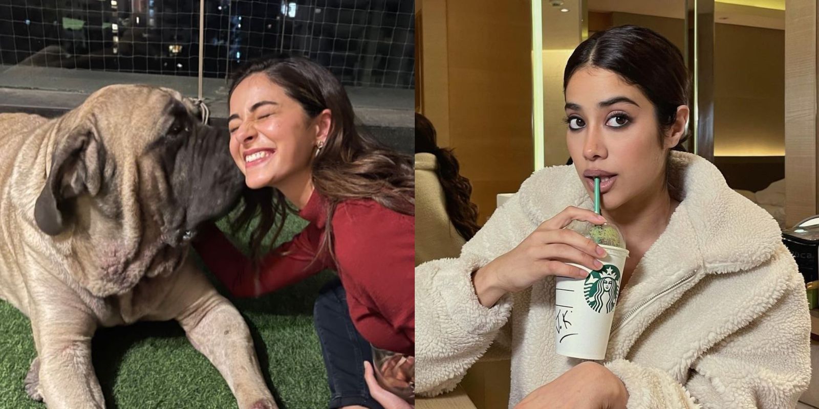 Alia Clicks A Cute Picture Of Ananya With Ranbir’s Dog; Janhvi Shares A Glimpse Of ‘Work From Home’