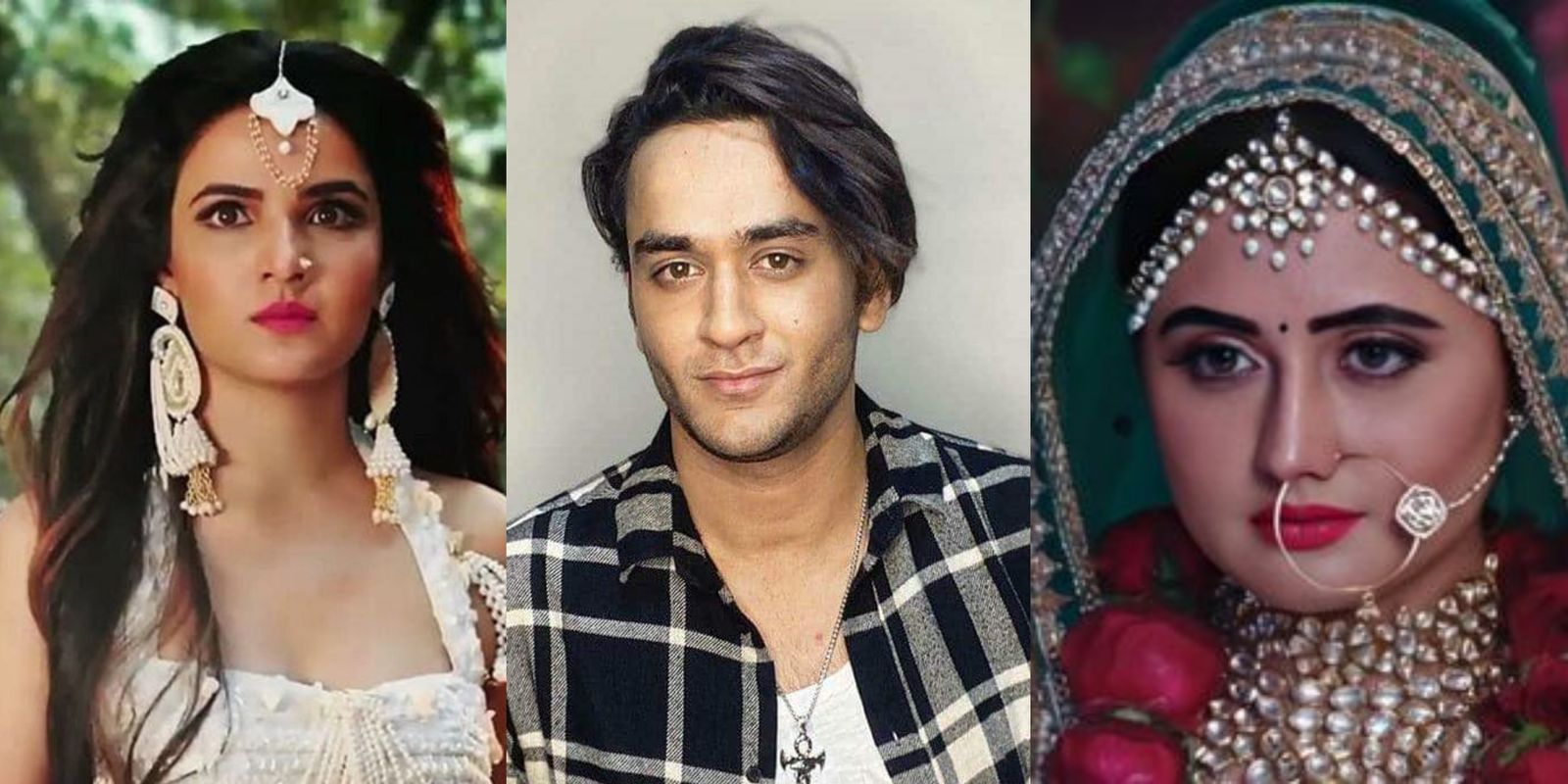 Bigg Boss 14’s Vikas Gupta Replaced Jasmin In Naagin 4 With Rashami; Is This What Aly Was Talking About?