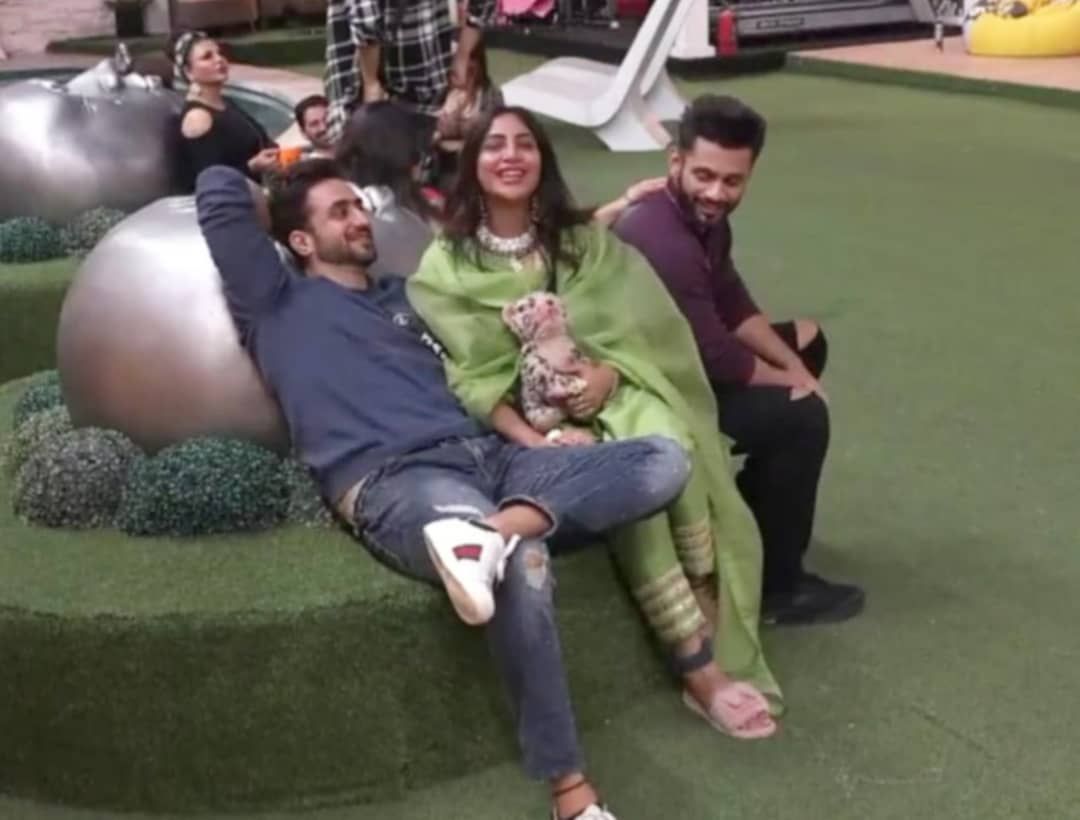Bigg Boss 14: Arshi Plans To Dine With Aly & Rahul On Weekends; Reveals Latter Will Find Her A Groom