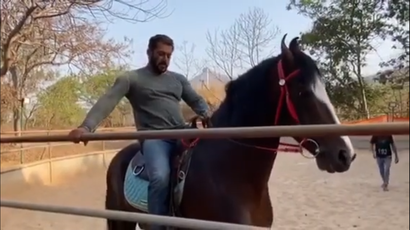 Rajasthan Woman Duped Of Rs. 12 Lakhs In Lure Of Buying Salman Khan's Horse