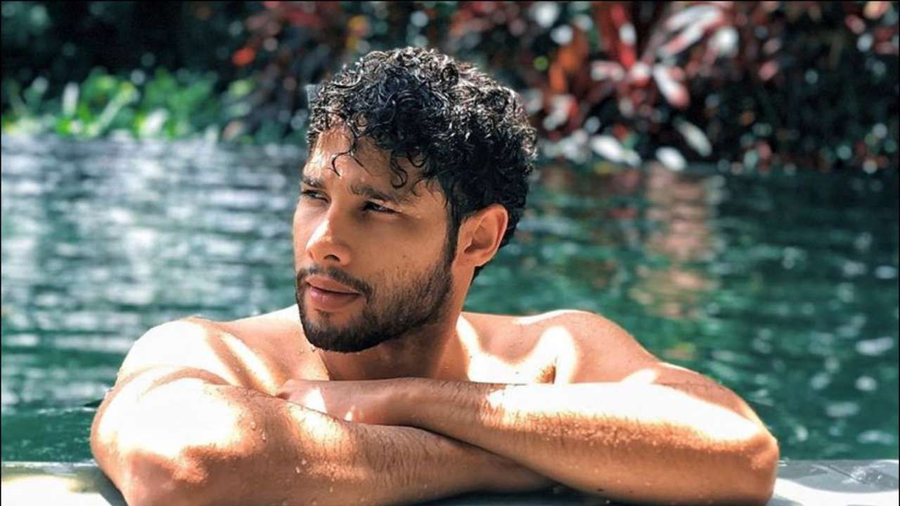 Yudhra: Siddhant Chaturvedi Trains In Bōjutsu For His Role As An Assassin