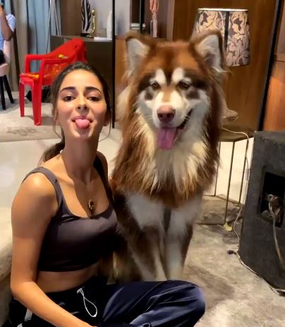 Ananya Panday Makes A Furry Friend On The Sets Of Liger, Their Playful Video Is Cuteness Overload